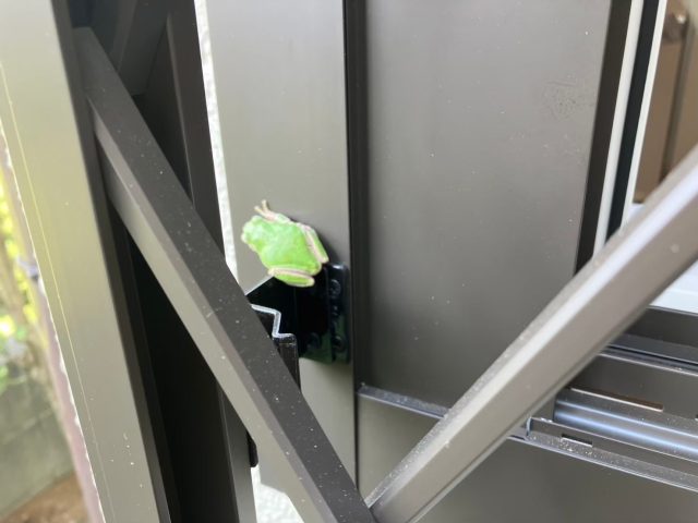 リプラス