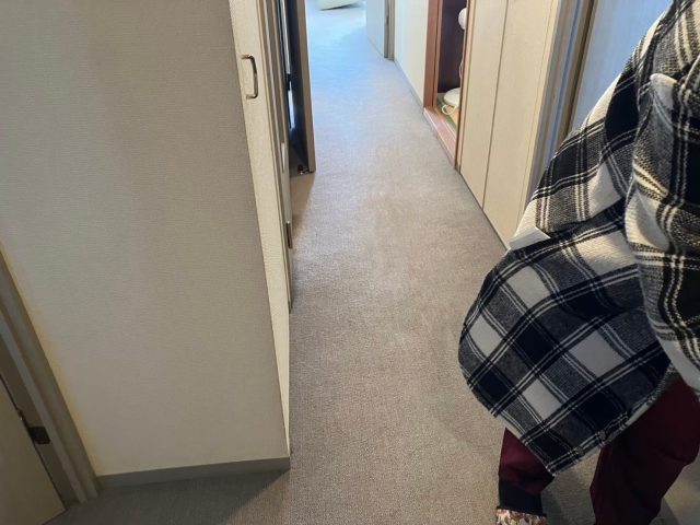 マンション　カーペット
