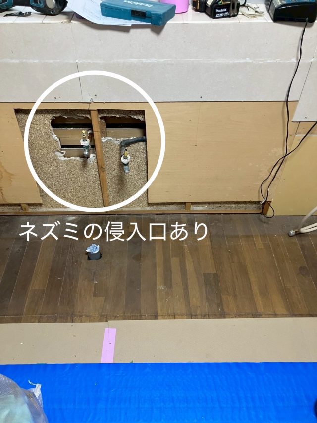 ネズミ　侵入　キッチン