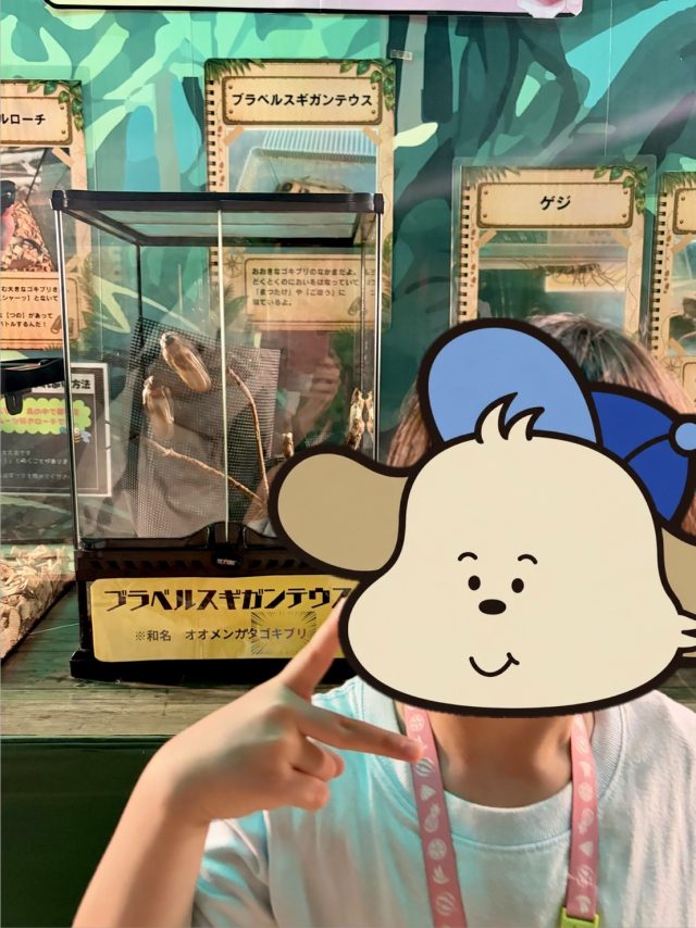 いきものさわっちゃ王国